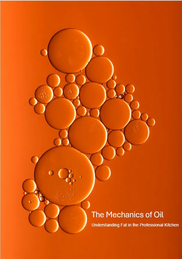 The Mechanics of Oil