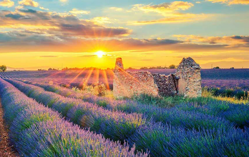 Roger Vergé provence3